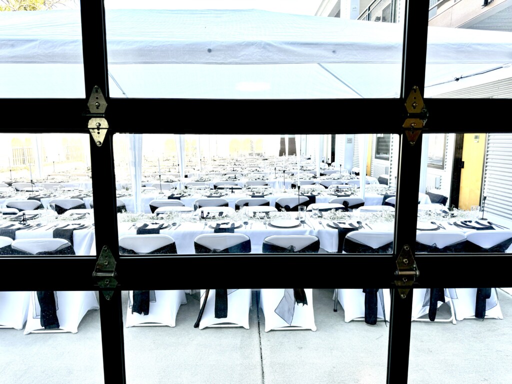 Amazing transformable property