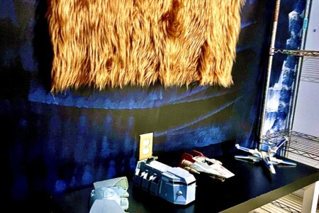 Star Wars themed room 6 sleeping pods and a full bathroom