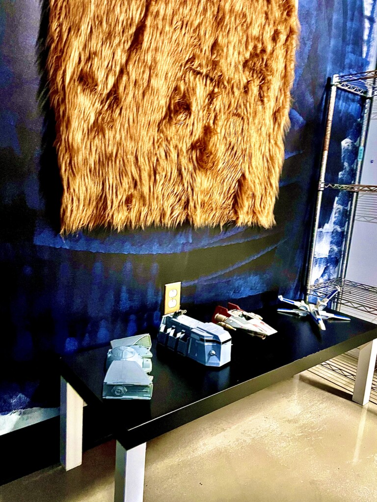 Star Wars themed room 6 sleeping pods and a full bathroom